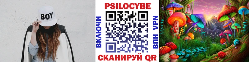Галлюциногенные грибы ЛСД  мега ссылка  Лениногорск  дарнет шоп 