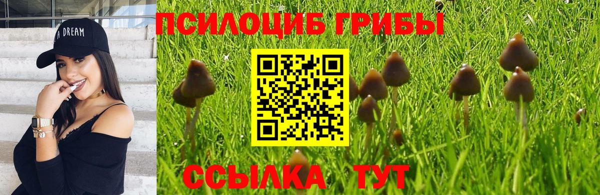 Галлюциногенные грибы мухоморы Лениногорск